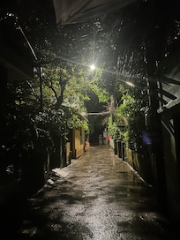 Beautiful lane after rain where the Homestay is located.
