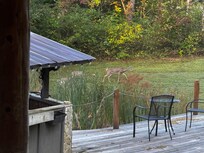 Enjoyed watching deers cross the property