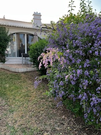 Back patio