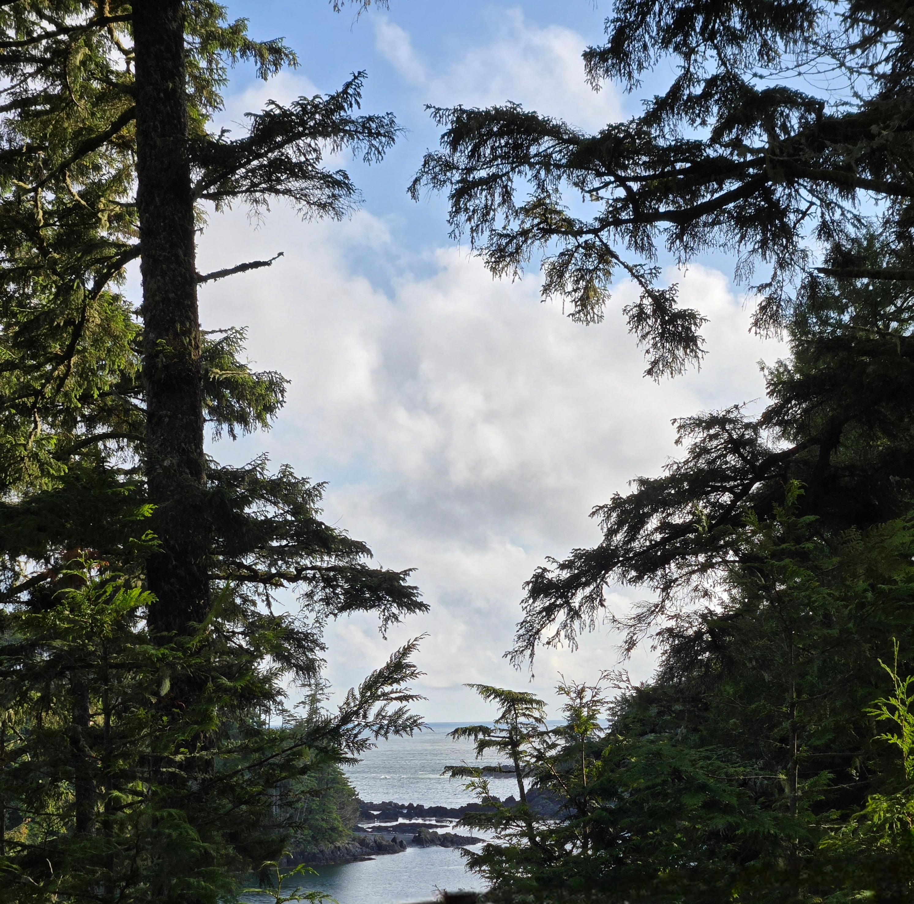 View from balcony