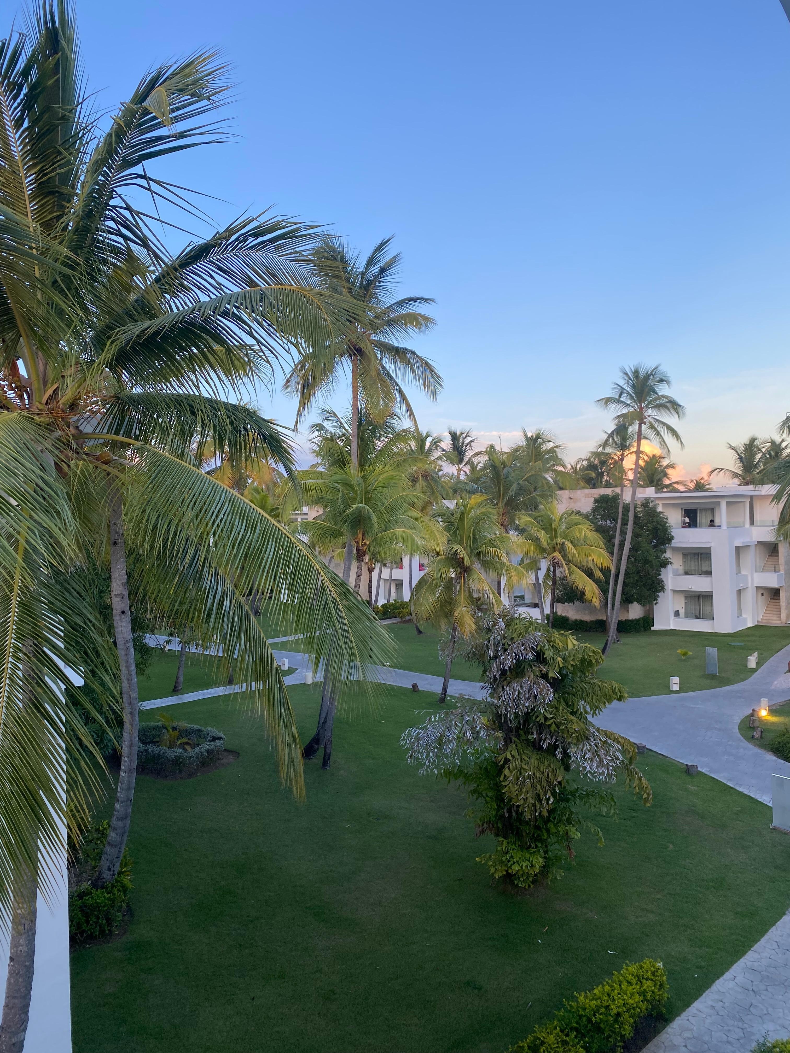 The view from my room 