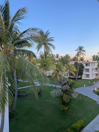 The view from my room