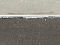 Bathroom ceiling mold