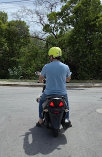 Our Concierge Hank. The Best.
And his Supervisor Toto! ;-)