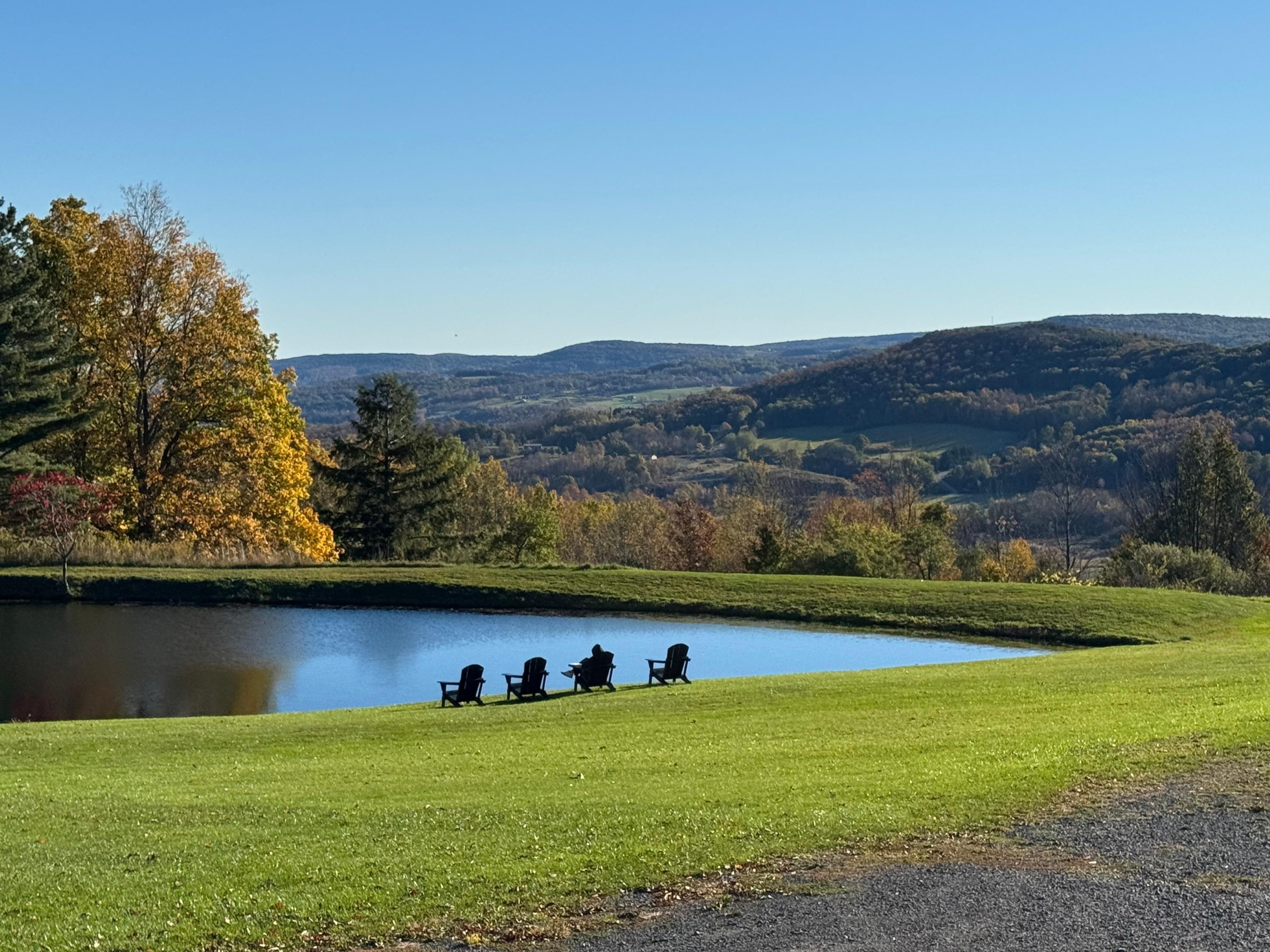 View from front porch 