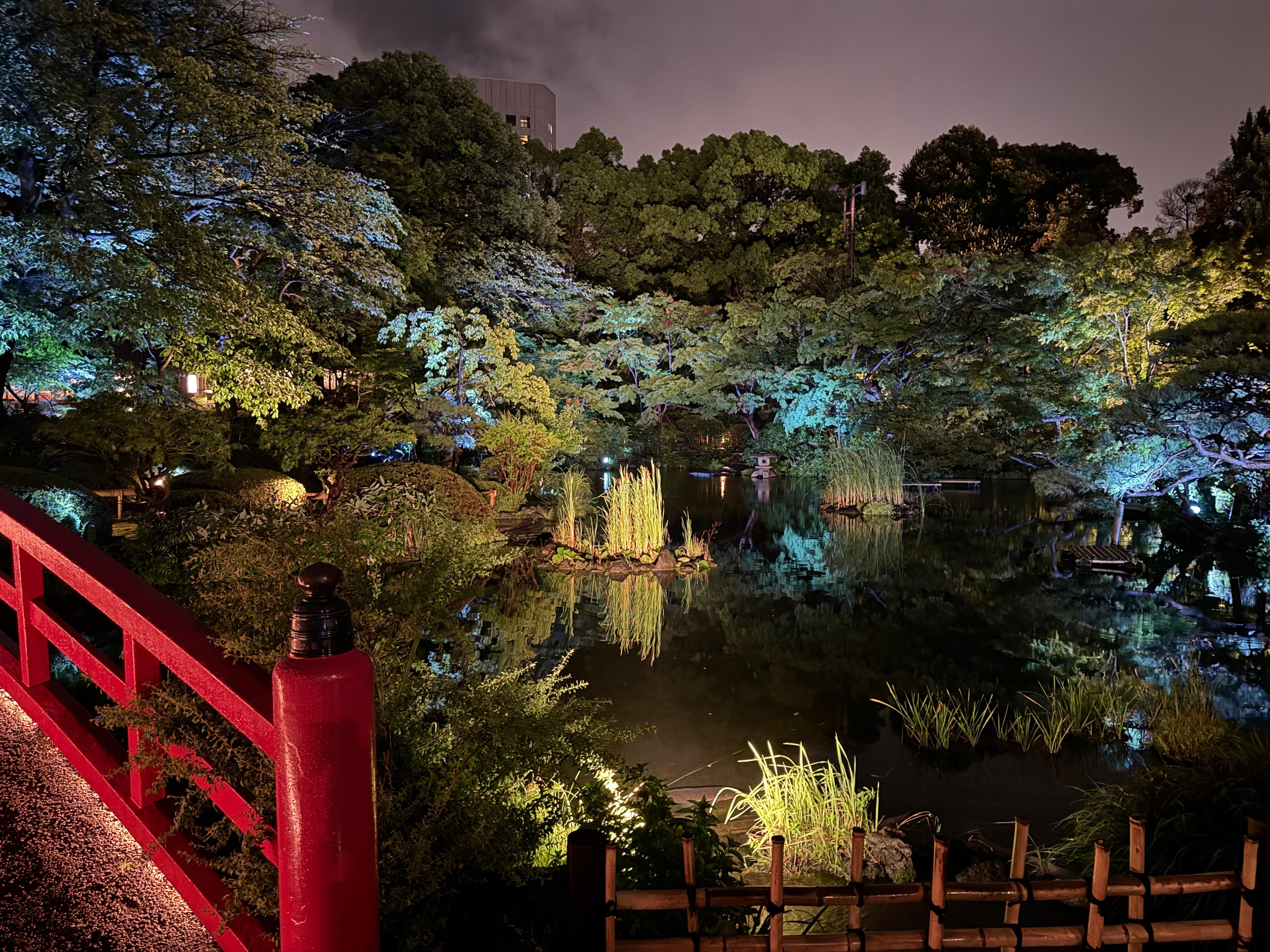 夜晚細雨中的庭園夜景！