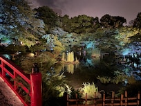 夜晚細雨中的庭園夜景!