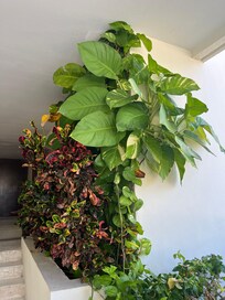 Beautiful landscaping!