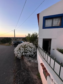 Wunderbare Blumenpracht im Sonnenuntergang