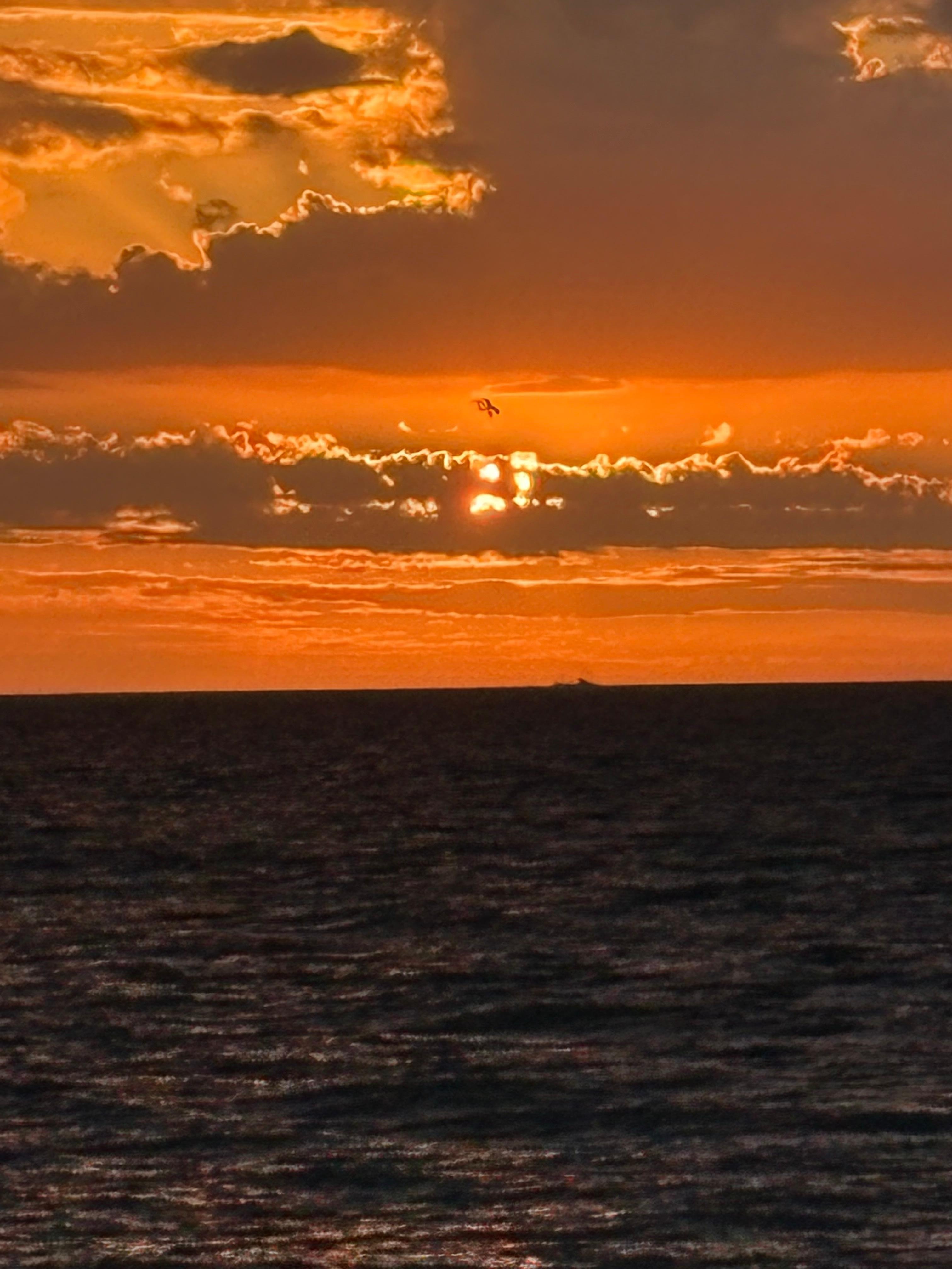 Short walk to the beach