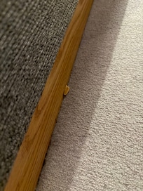 Damm och jordnötter på golvet