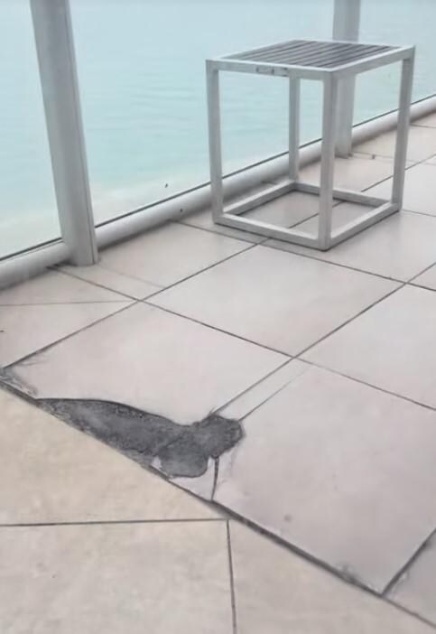 Broken tiles on patio