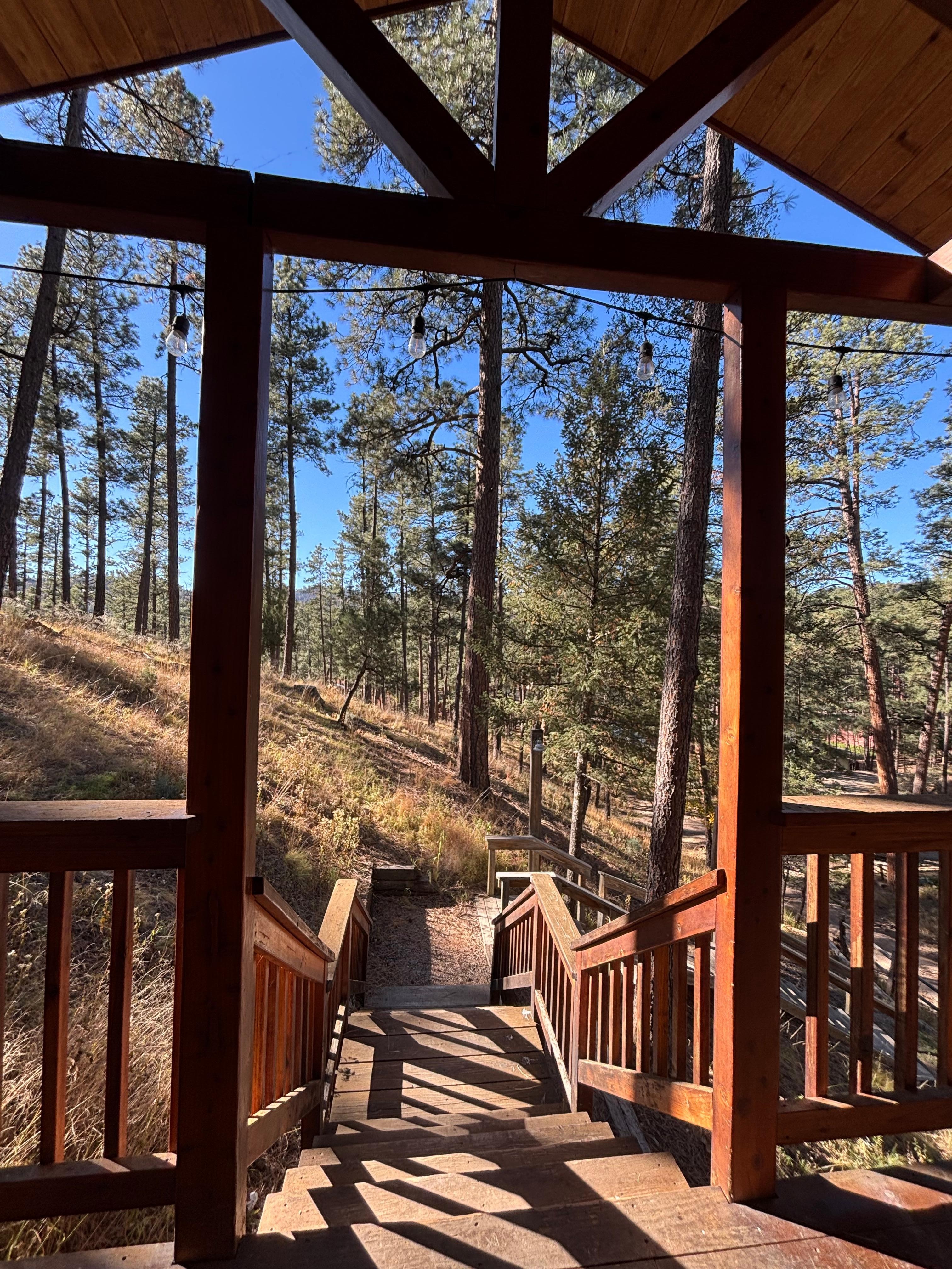 View from the front door!