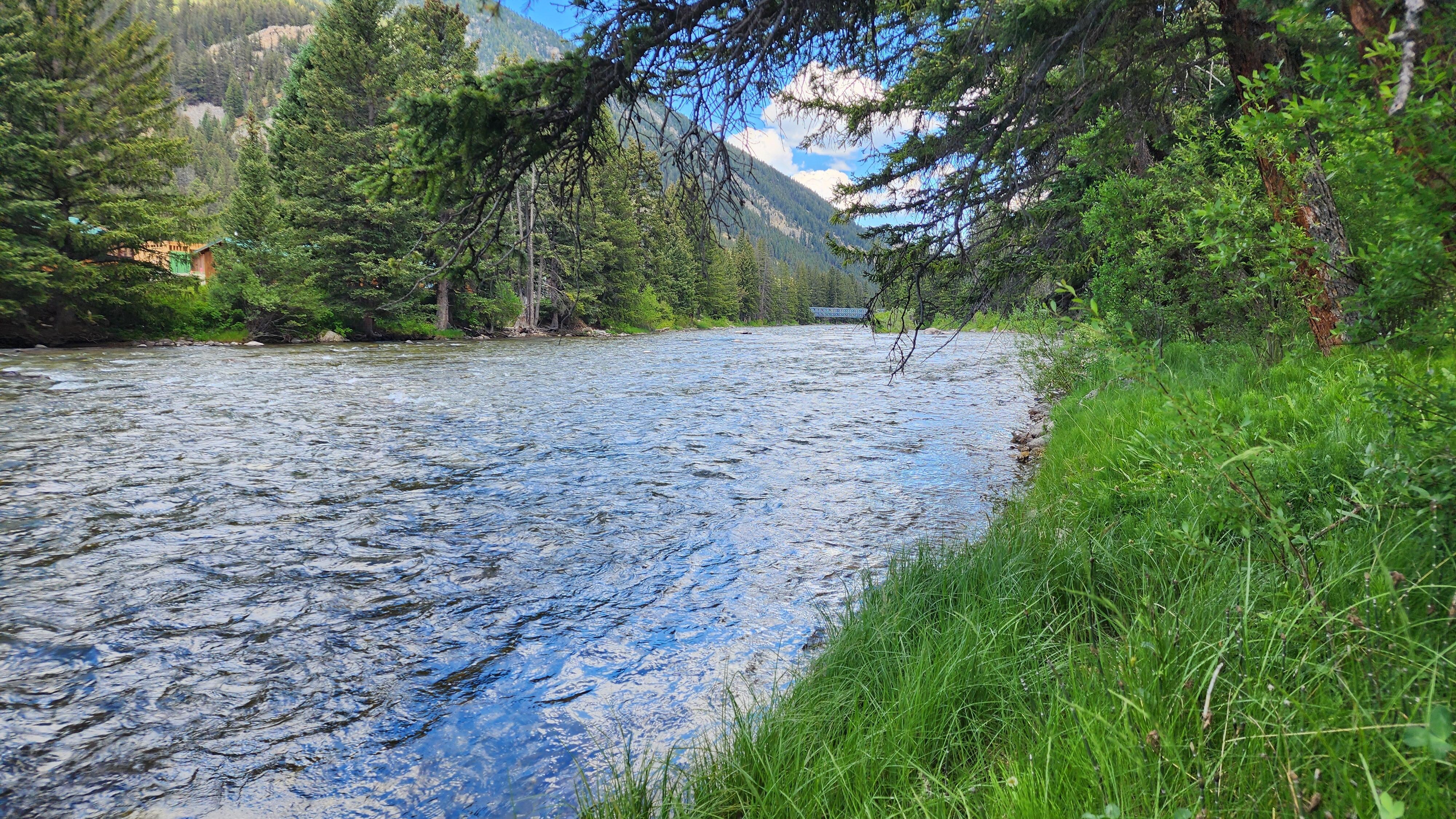 Looking down river