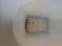 Partially cleaned toilet