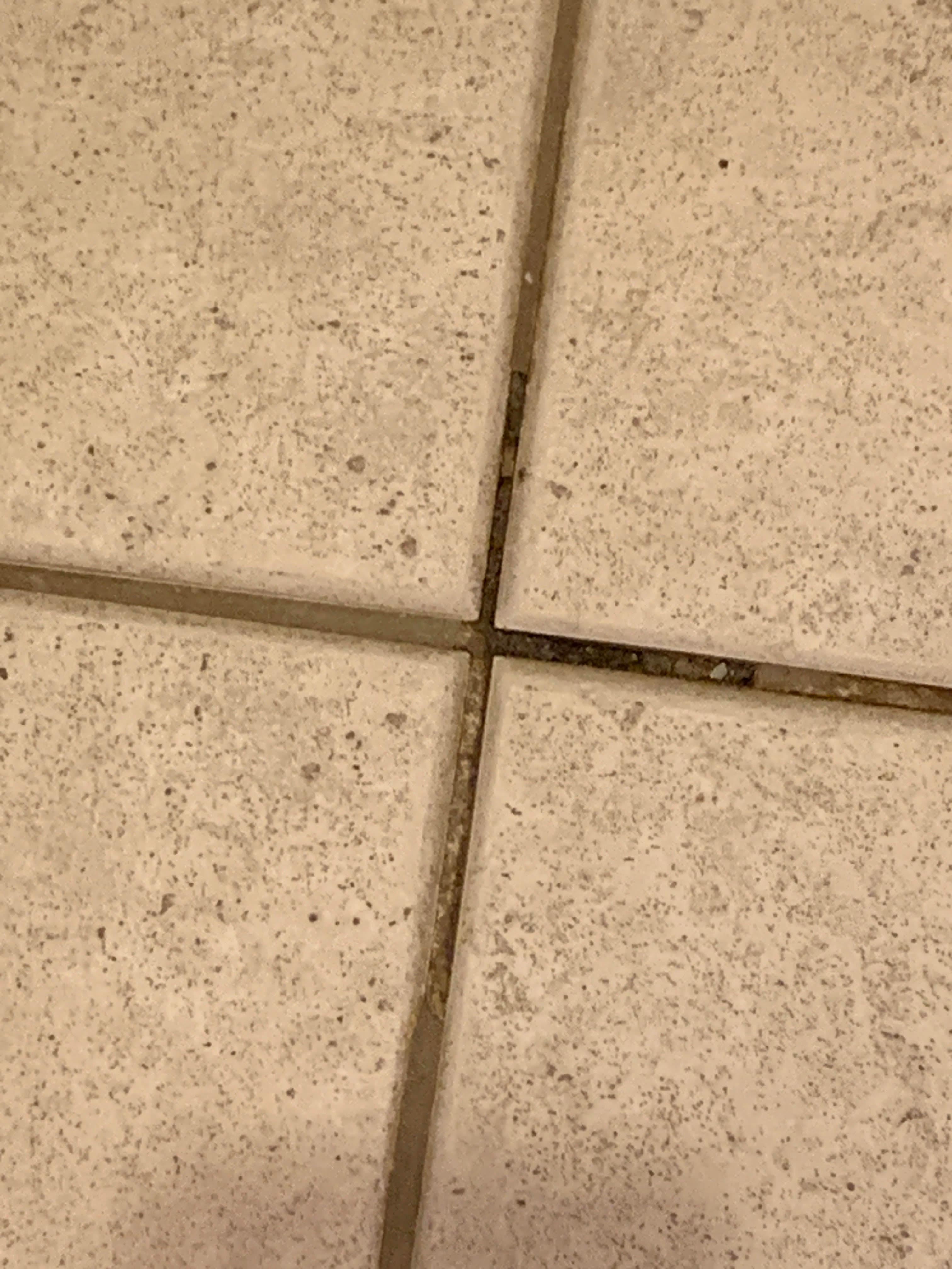 nasty grout