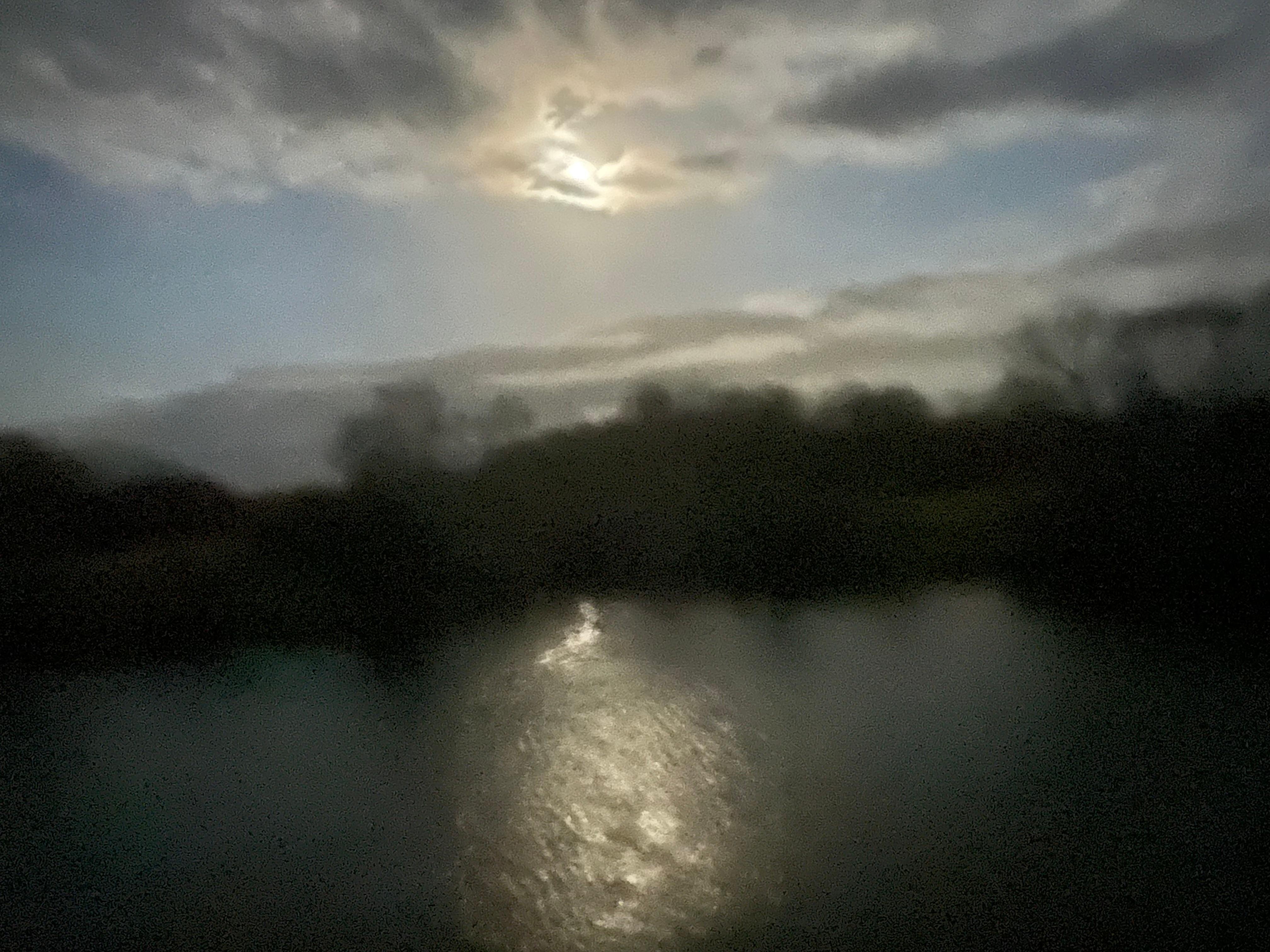 Almost full moon over the pond