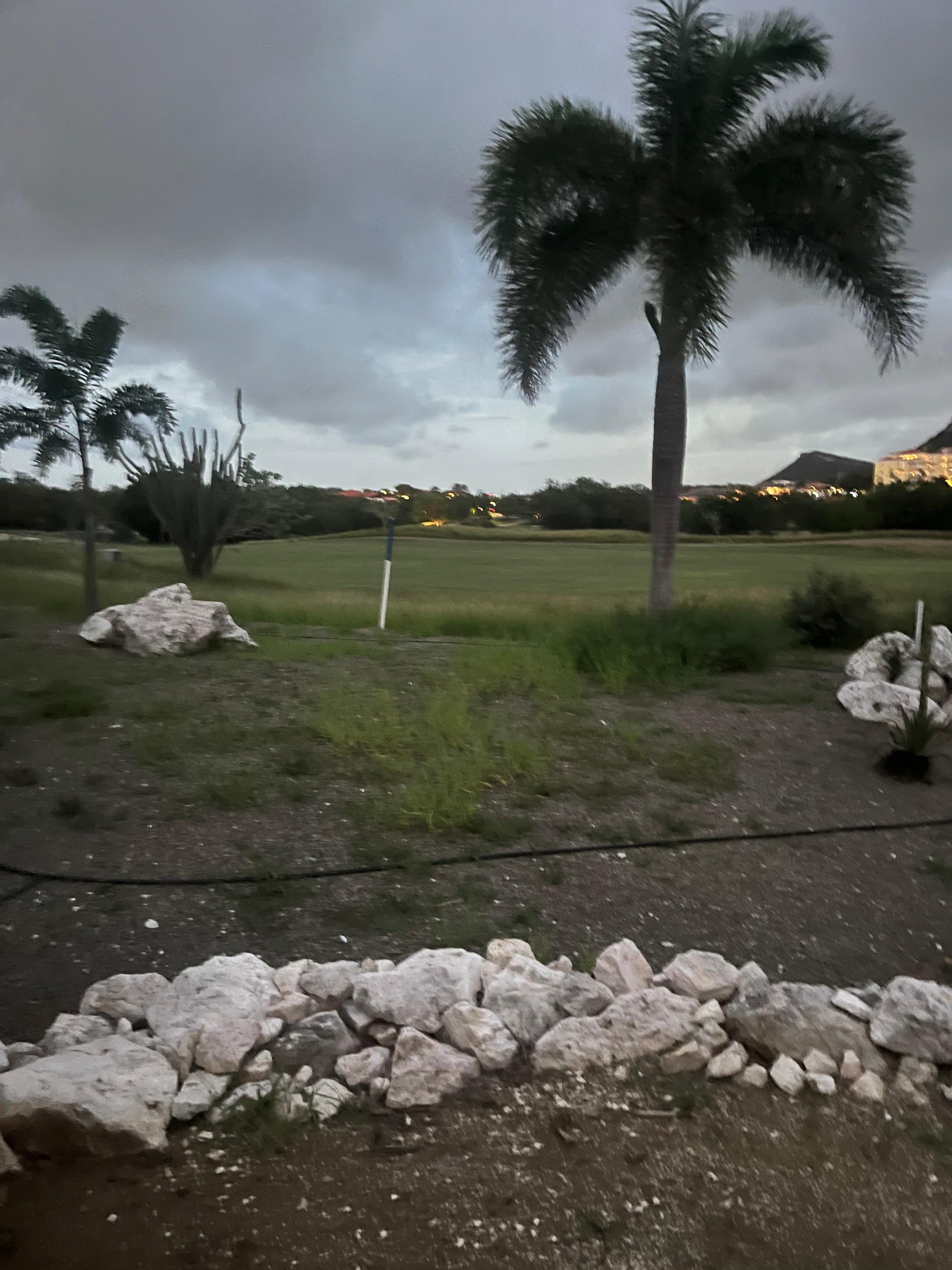 View from the patio. 