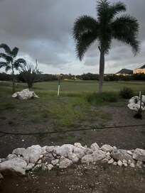 View from the patio.