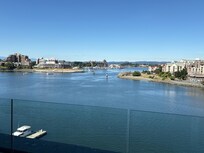 Harbor vista