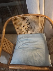 Remove and discovered this.