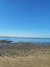 갯벌