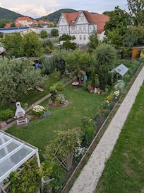 Blick in den Nachbargarten