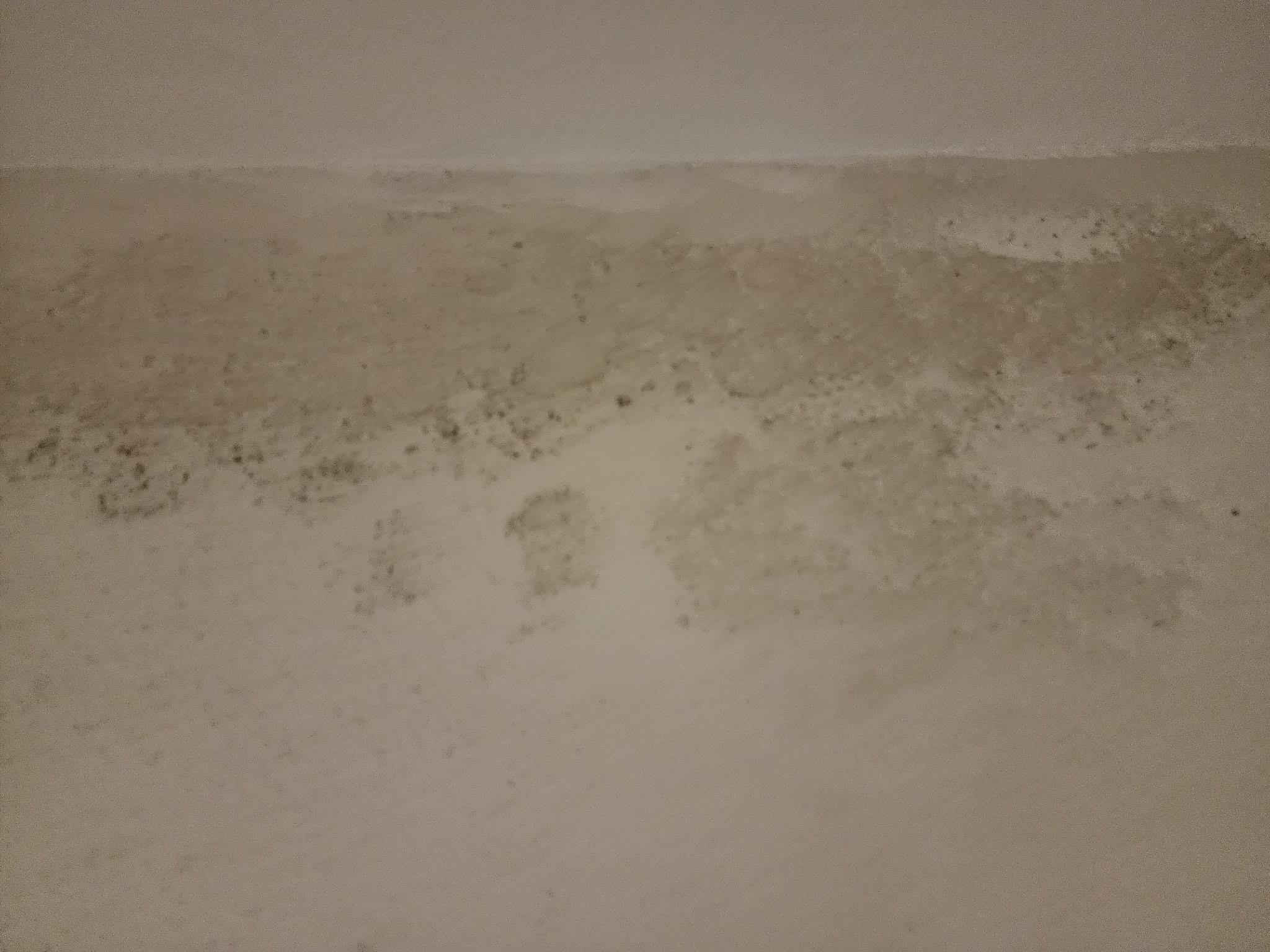 Mold in closet