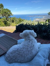 We all enjoyed relaxing views 🩷