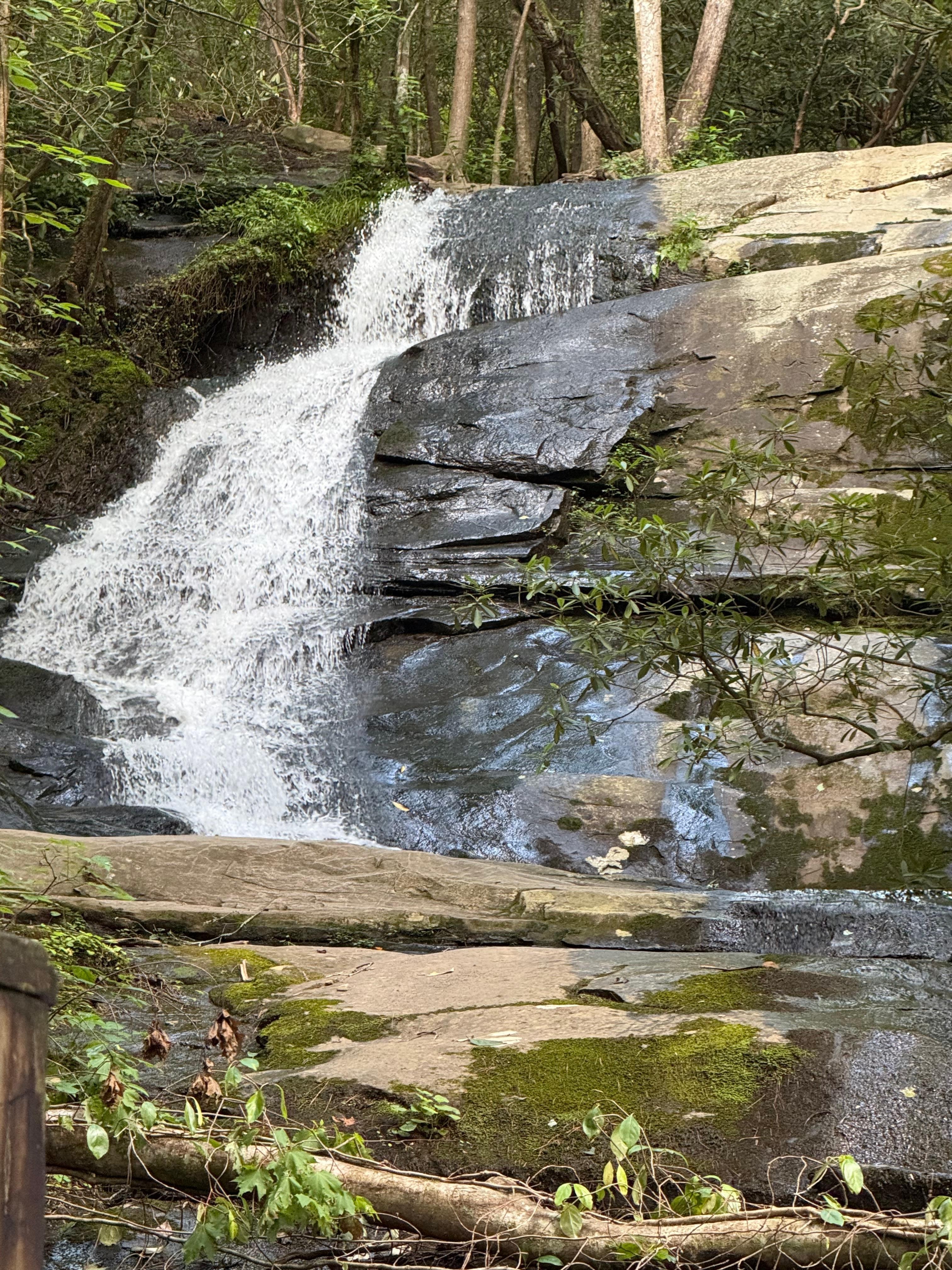 Fall Branch Falls