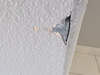 One of several holes in the walls