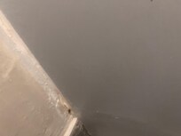 This was one of the roaches.