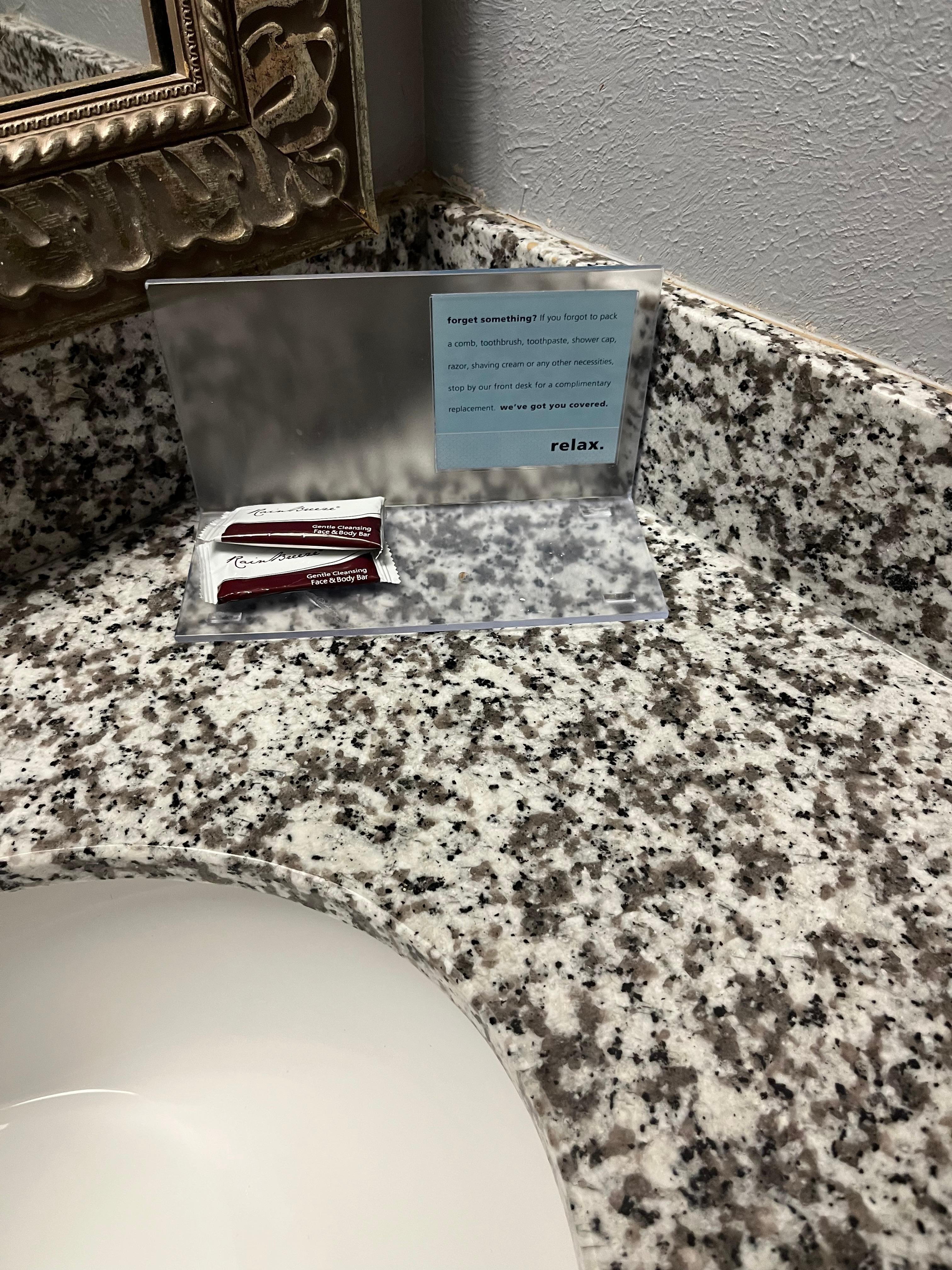 Hand soap is all you get for your shower.