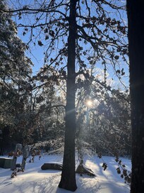 View from cabin. Snow so beautiful