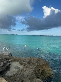 Snorkeling at the house was terrific!