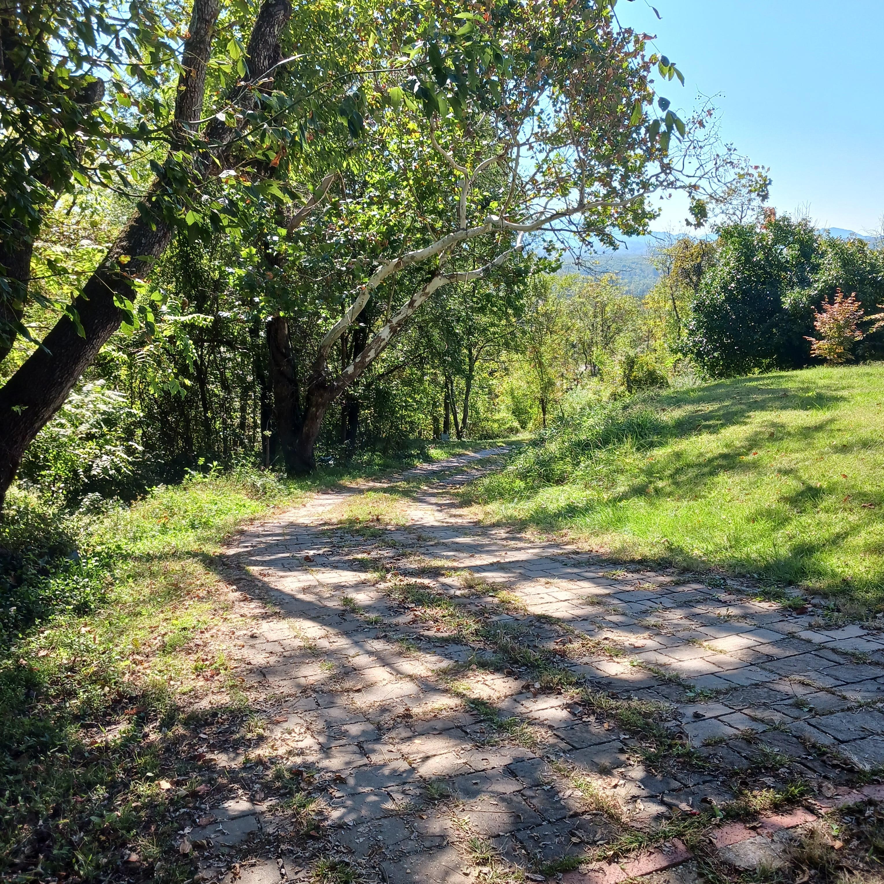 Of the driveway close to the house.