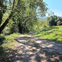 Of the driveway close to the house.