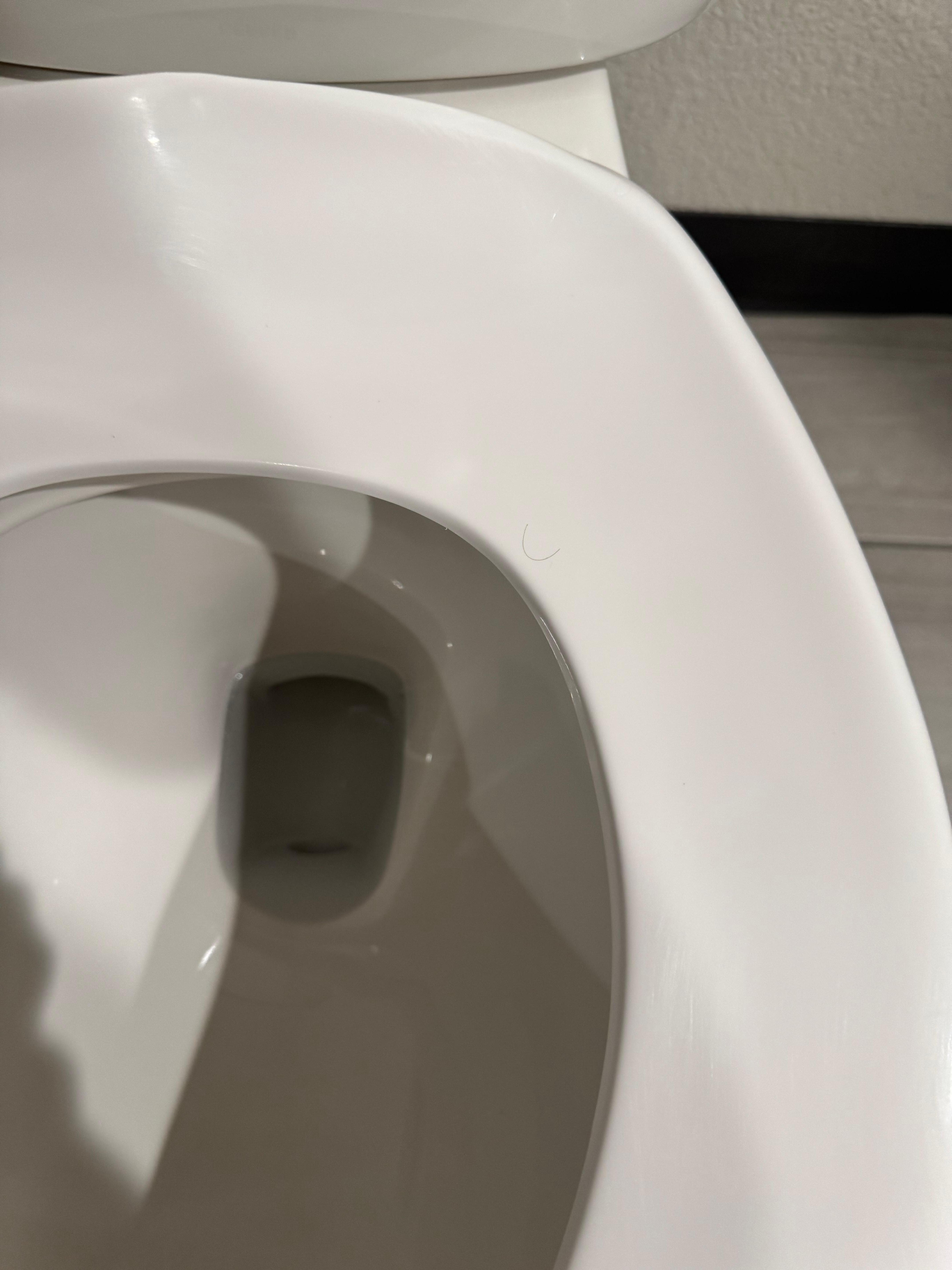 Hair on toilet seat 