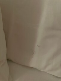 Eww gross pillow!