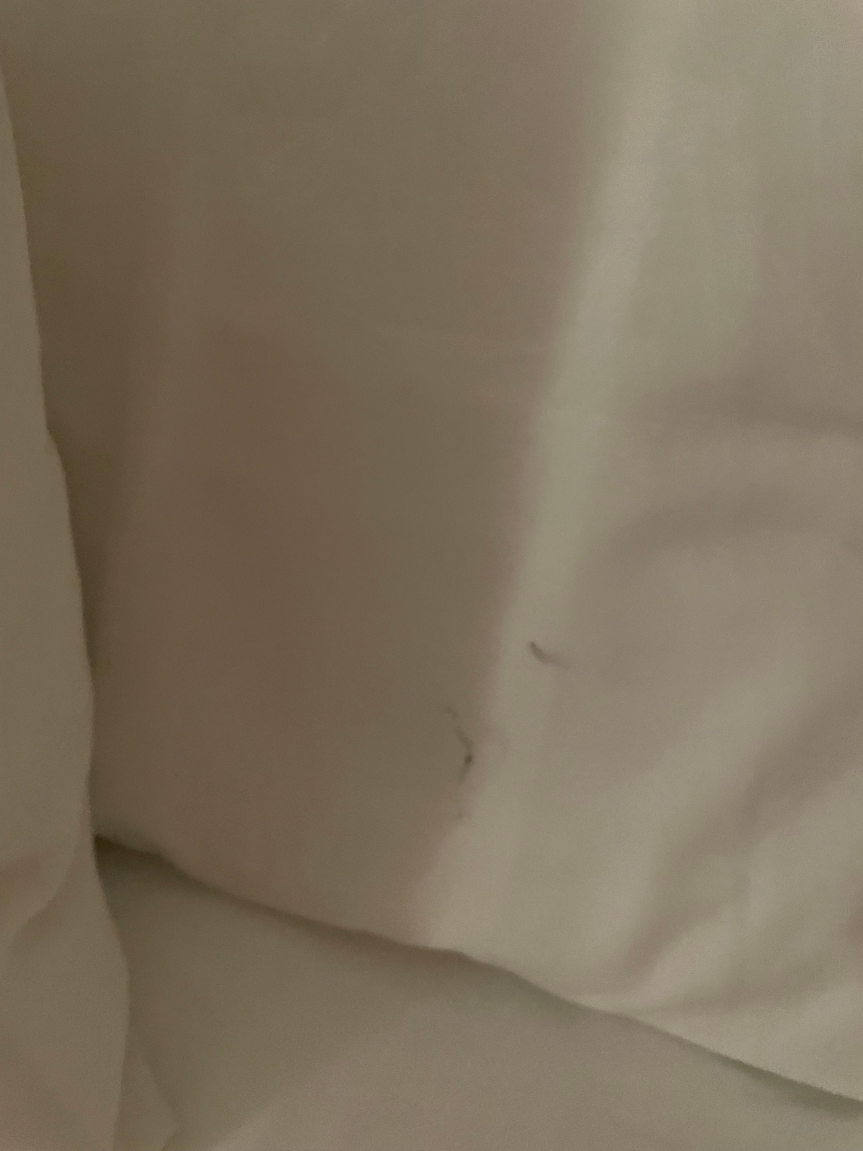 Eww gross pillow!