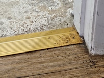 Mold around bathroom door