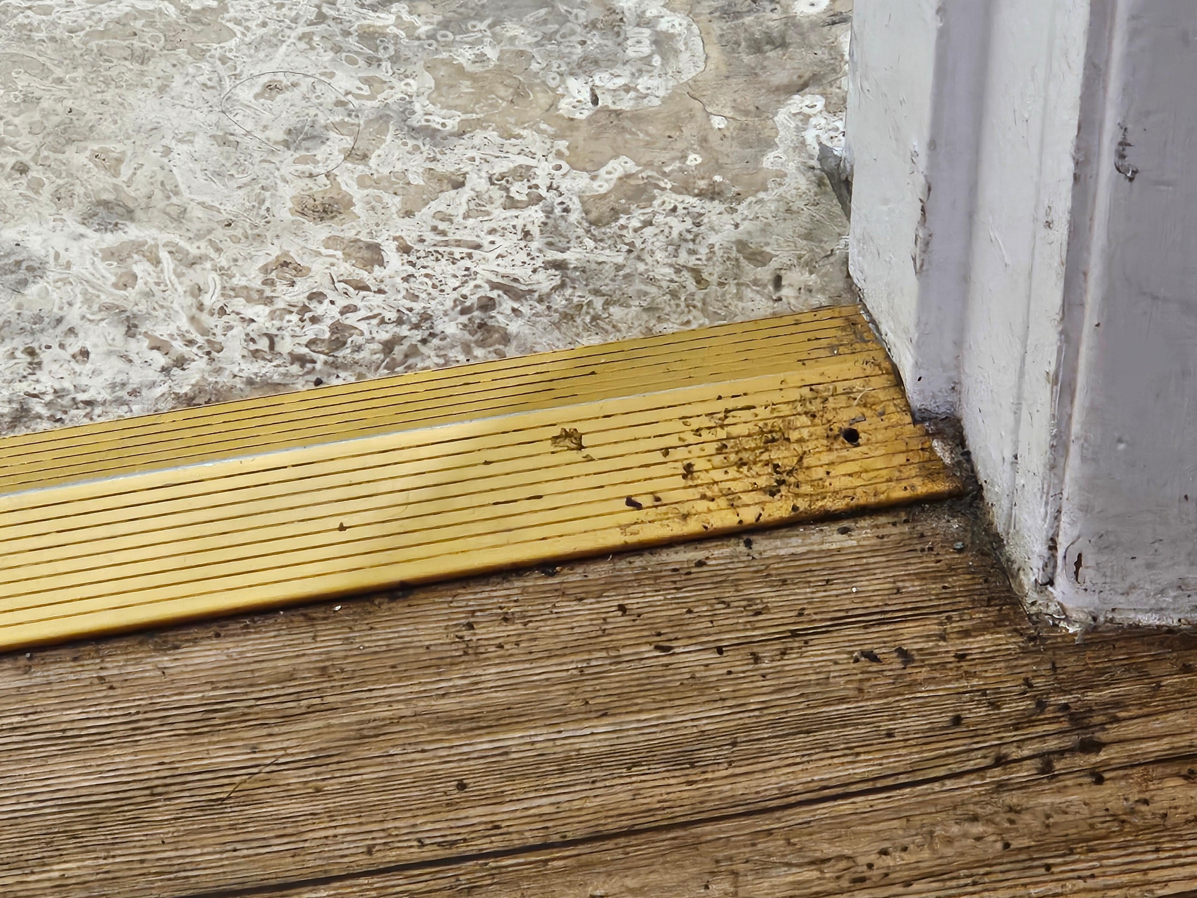 Mold around bathroom door