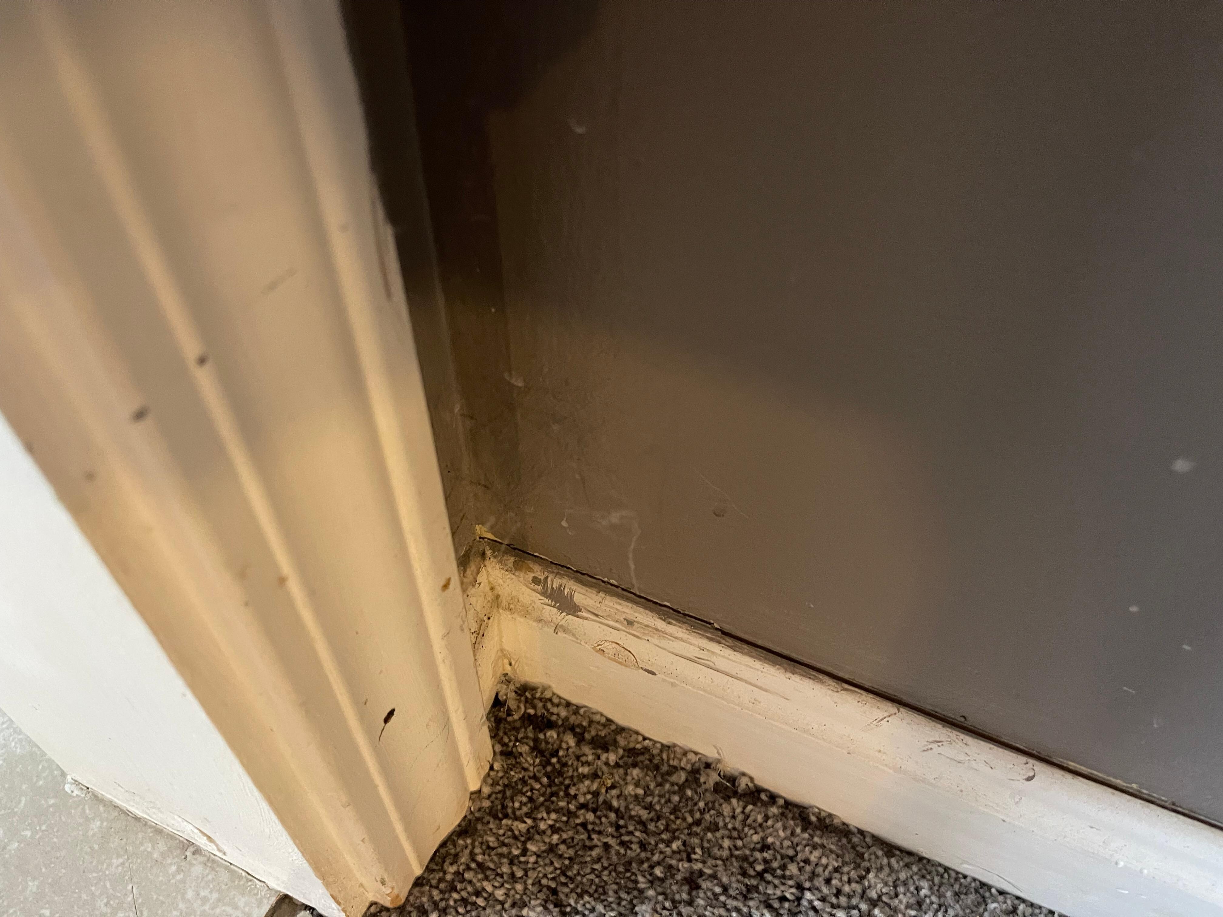 Dust and dead bugs looked like this in every corner of the house. 