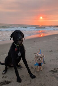 The beach at sunset