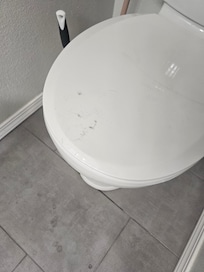 Dirty toilet lid