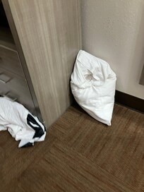 Mouse ran behind tv so I tried to trap it with pillows and sheets