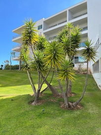 Beautiful Gardens