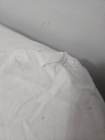 Ants running all over the bed