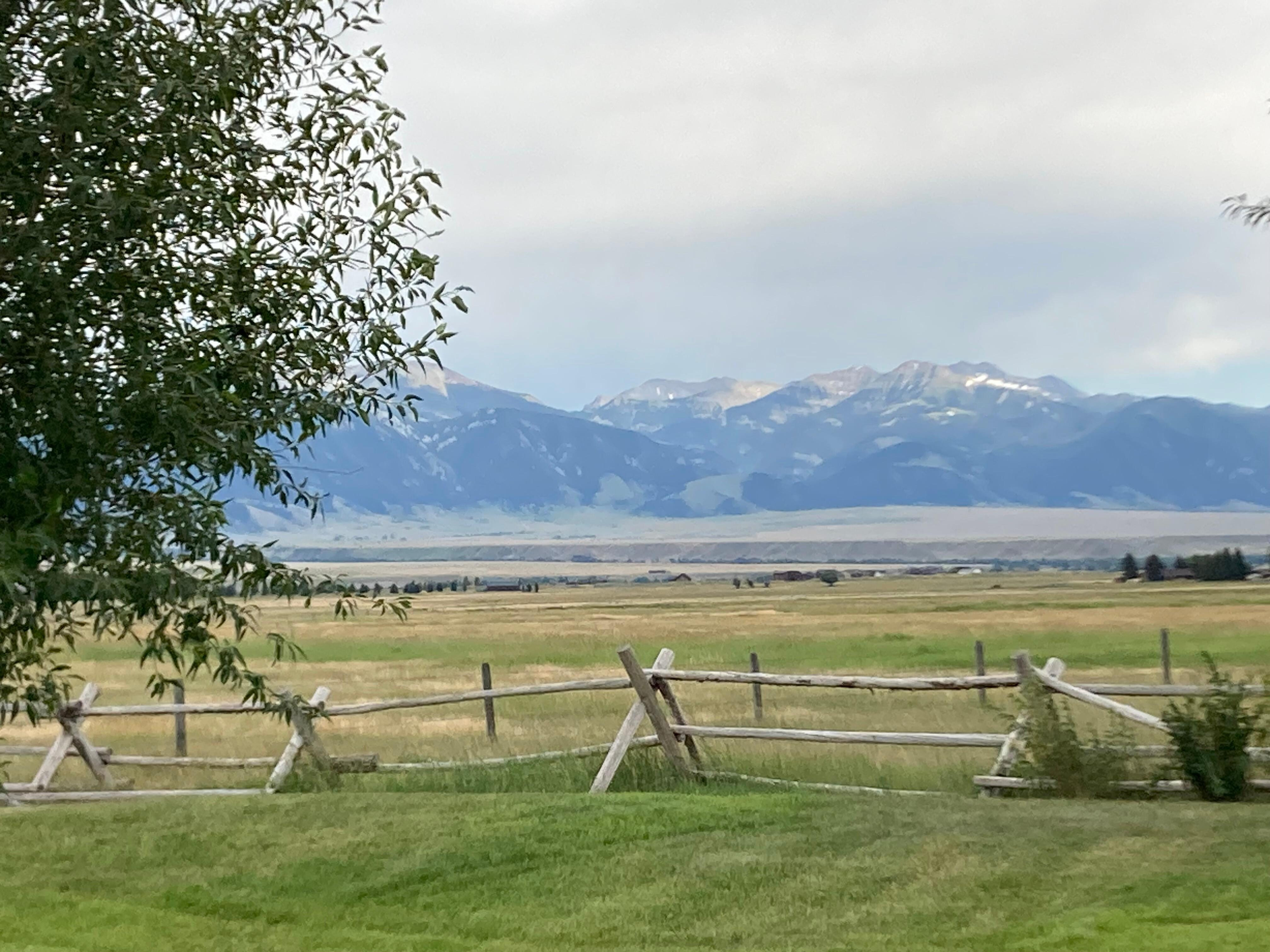 Patio view