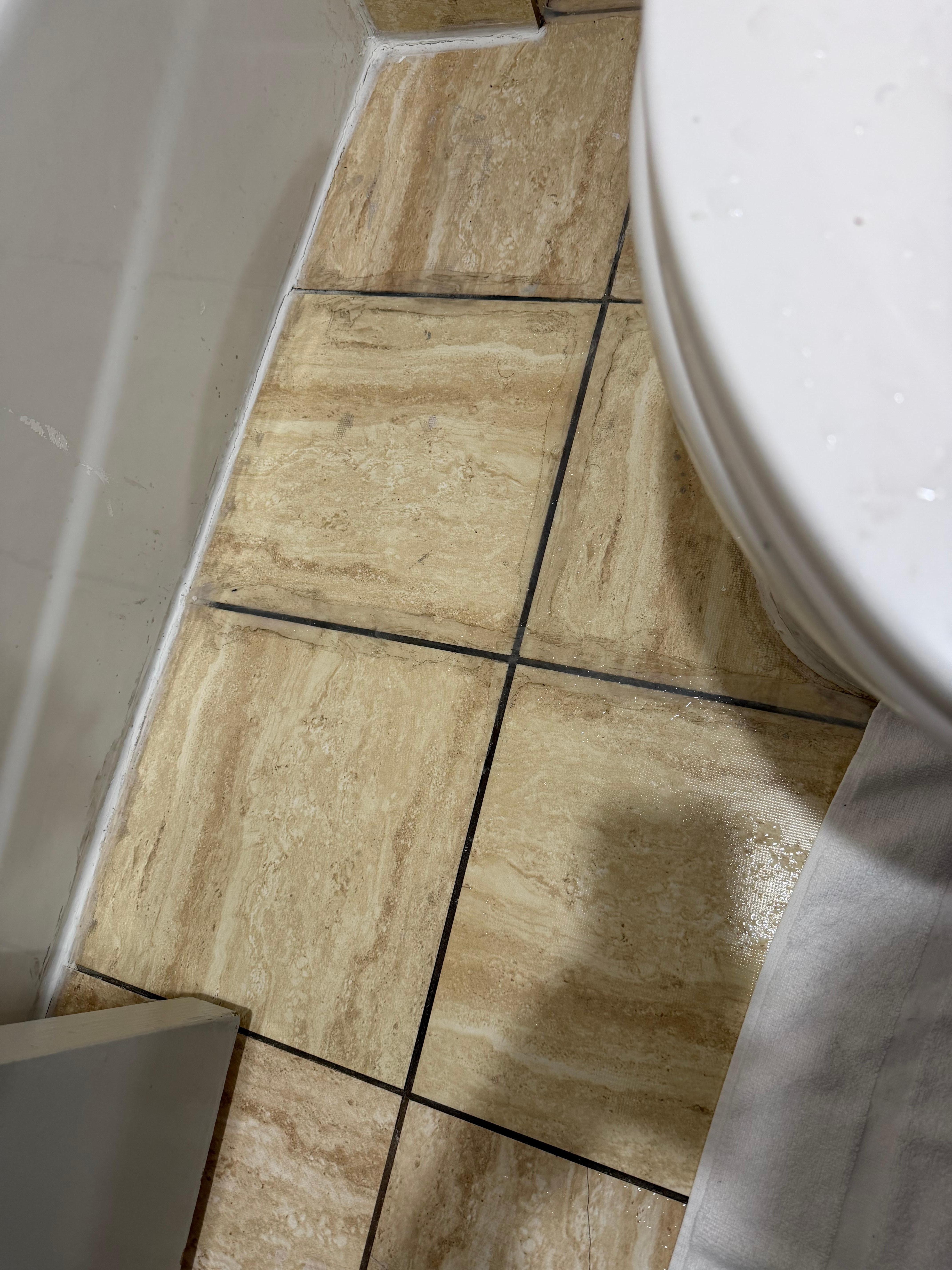 I’m not sure if it’s visible but I did take photos of all the water on the floor and toilet